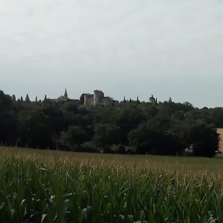 Guest house La Fourmentine
